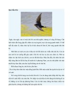 Truyện kể mầm non quả bầu tiên 