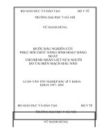 Bước đầu nghiên cứu phục hồi chức năng sinh hoạt hàng ngày cho bệnh nhân liệt nửa người do tai biến mạch máu não