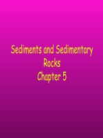 ch05 sedimentary rocks online notes 