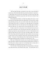 Nghiên cứu tác dụng điều trị rối loạn Lipid máu của viên Cholestin