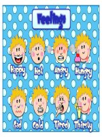 feelings multiplechoice