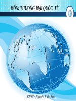 BÀI THUYẾT TRÌNH môn THƯƠNG mại QUỐC tế một số TRƯỜNG hợp điển HÌNH MÀVIỆT NAM tập TRUNG vào sản XUẤT HÀNG hóa THÂM DỤNG các yếu tố KHÔNG dư THỪA 