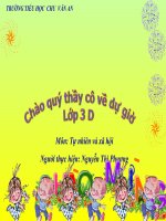 hoạt động bài tiết nước tiểu 