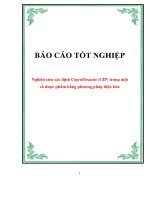 Nghiên cứu xác định Ciprofloxacin (CIP) trong một số dược phẩm bằng phương pháp điện hóa