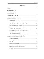 Xác định tần suất HBsAg(+) và các yếu tố liên quan trên bà mẹ mang thai tại tỉnh Bạc Liêu từ 09032003 đến 30082003