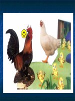 1299766363968 hoc van OIAI phn 2 