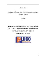 Xây dựng chiến lược phát triển kinh doanh cho công ty cổ phần PJICO