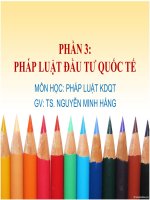 BÀI GIẢNG PHÁP LUẬT KINH DOANH QUỐC tế PHÁP LUẬT đầu tư QUỐC tế p 3 