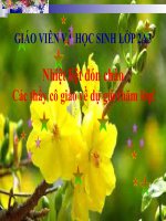 MỪNG ĐẢNG MỪNG XUÂN CHUẨN 