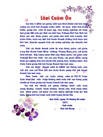 Đề tài Giải pháp nâng cao hiệu quả sử dụng đất sản xuất nông nghiệp tại xã Hồng Lộc  Huyện Lộc Hà  tỉnh Hà Tĩnh