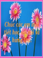 Tuần 5  đọc thêm bài ca phong cảnh hương sơn (hương sơn phong cảnh ca) 