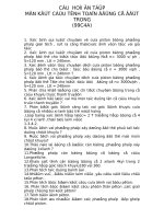 cau hoi on tap mon dong co dot trong.DOC