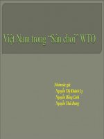 Sile pháp luật thương mại quốc tế việt nam trong sân chơi WTO 