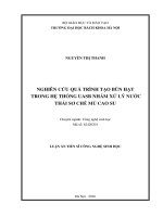 Nghiên cứu quá trình tạo bùn hạt trong hệ thống UASB nhằm xử lý nước thải sơ chế mủ cao su