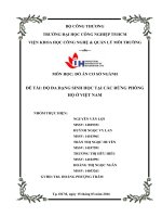 ĐỘ ĐA DẠNG SINH HỌC TẠI CÁC RỪNG PHÒNG HỘ Ở VIỆT NAM