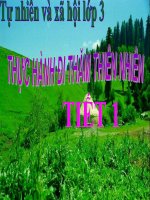 tnxh lớp 3 - Thực hành đi thăm thiên nhiên tiết 1