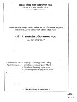 Hoàn thiện hoạt động kiểm tra, kiểm toán nội bộ trong các tổ chức tín dụng việt nam 