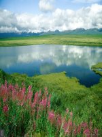 Toán   tiết 31   ước chung lớn nhất (1) 