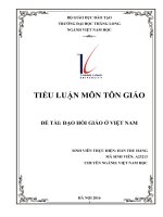 Tiểu luận Đạo Hồi Giáo ở Việt Nam