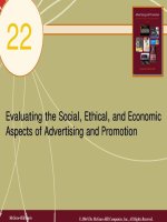 chap22 evaluating the social ethical and economic aspects of advertising and promotion 0408