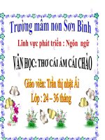 giáo án thơ cái ấm cái chảo 