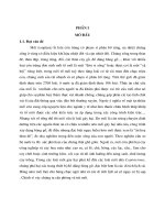 Nghiên cứu quy trình lên men kết hợp để sản xuất bào tử nấm Metarhizium và khả năng diệt mối của bào tử nấm qua lây nhiễm