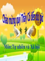 Bai 27 loai vat song o dau 