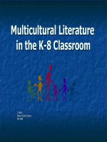Using multicultural literature in the k 8 classroom 