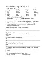 Đề thi học kì một môn Tiếng Anh