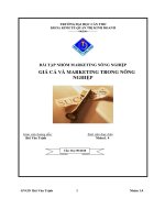 Bài tập nhóm marketing nông nghiệp giá cả và marketing trong nông nghiệp