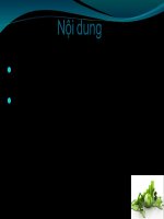 SLIDE  tác động của lạm phát đến tăng trưởng kin tế ở việt nam giai đoạn 1987   2011 