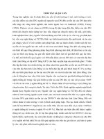 Các yếu tố tác động đến sự tồn tại trên thị trường của các doanh nghiệp nhỏ và vừa mới thành lập trên địa bàn tỉnh Lâm Đồng