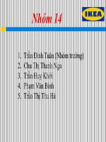 Side tiểu luận kinh doanh quốc tế 