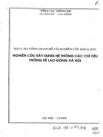 Nghiên cứu xây dựng hệ thống các chỉ tiêu thống kê lao động xã hội 
