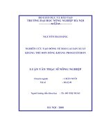 Nghiên cứu tạo dòng tế bào lai sản xuất kháng thể đơn dòng kháng progesteron