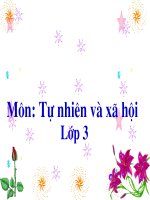 hoạt động thần kinh tiếp theo 