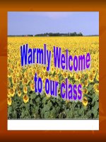 1302524307189 ting anh  unit 2 lets talk 1 