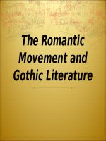 The romantic movement and gothic literature 