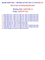 BO DE THI HOC KY HOA 10 CA NAM 