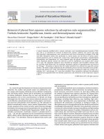 Removal of phenol from aqueous solutions by adsorption onto organomodified 