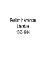 Realism  in american literature ppt 