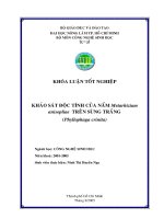 Khảo sát độc tính của nấm metarhizium anisopliae trên sùng trắng (phyllophaga crinita)