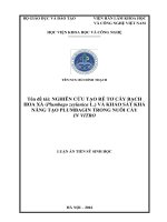Nghiên cứu tạo rễ cây tơ bạch hoa xà (plumbago zeylanica l ) và khảo sát khả năng tạo plumbagin trong nuôi cấy in vitro 