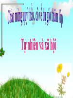 ôn tập kiểm tra học kì 1 