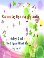 Luyện tập viết tên người, tên địa lí việt nam bài giảng môn LTVC lớp 4 