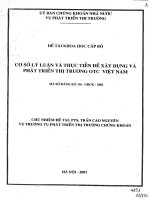 Cơ sở lý luận và thực tiễn để xây dựng và phát triển thị trường OTC việt nam 