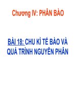 Bài 18  chu kì tế bào và quá trình nguyên phân   sinh học 10   lưu quốc vinh 