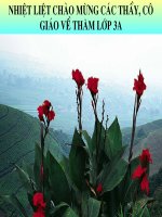 Bai 9 doan ket voi thieu nhi quoc te (1) 