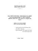 Đặc điểm sinh học, sinh thái của nhện Lycosa pseudoannulata và thử nghiệm phòng trừ rầy nâu hai lúa nilaparvata lugens