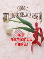Bài 25  sinh trưởng của vi sinh vật   sinh học 10   lưu quốc vinh 